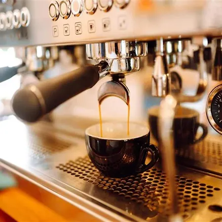 Hambachtal Forest Hideaway Boutique Vakantiehuis *