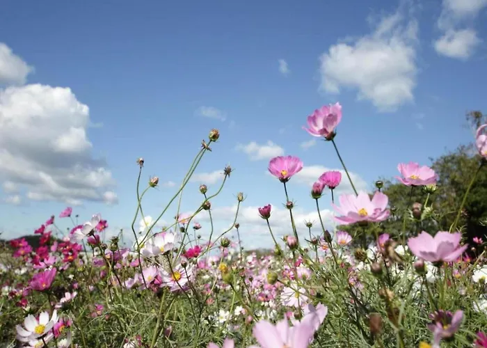 Hambachtal Forest Hideaway Boutique *